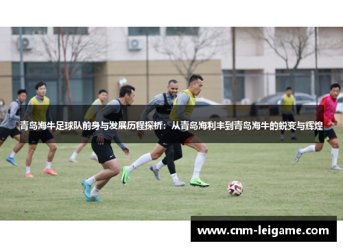 青岛海牛足球队前身与发展历程探析：从青岛海利丰到青岛海牛的蜕变与辉煌