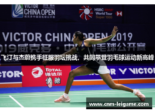 飞汀与杰蔚携手征服羽坛挑战,共同攀登羽毛球运动新高峰 飞汀与杰蔚携手征服羽坛挑战,共同攀登羽毛球运动新高峰