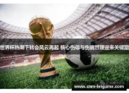 世界杯热潮下转会风云再起 核心伤停与伤病管理迎来关键期