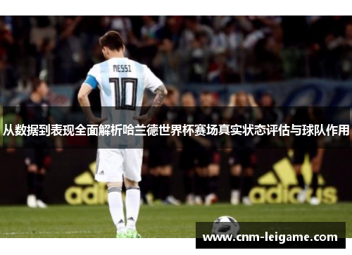 从数据到表现全面解析哈兰德世界杯赛场真实状态评估与球队作用