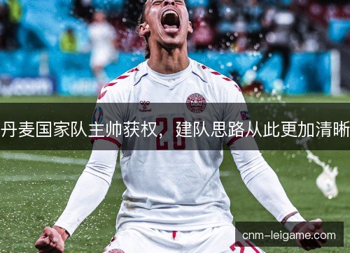 丹麦国家队主帅获权，建队思路从此更加清晰